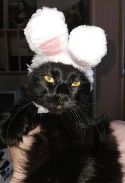 Пермский Губернский (СИ) - img_6