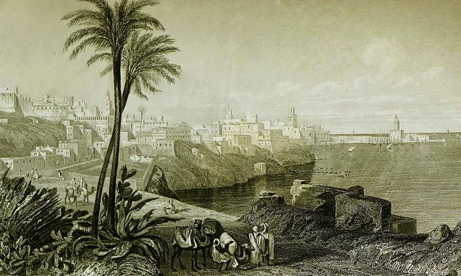 Благословенный 3 (СИ) - img_5