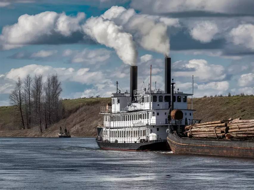 Щегол (СИ) - img_61