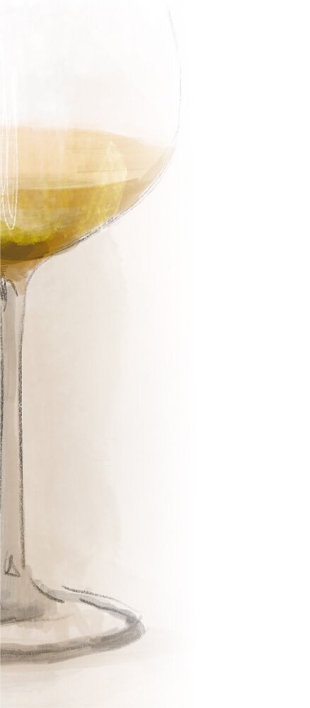 Винология: Записки профессионального гурмана о лучшем из напитков и культуре его потребления - i_005.jpg