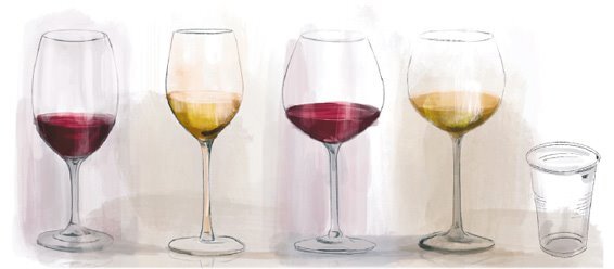 Винология: Записки профессионального гурмана о лучшем из напитков и культуре его потребления - i_021.jpg