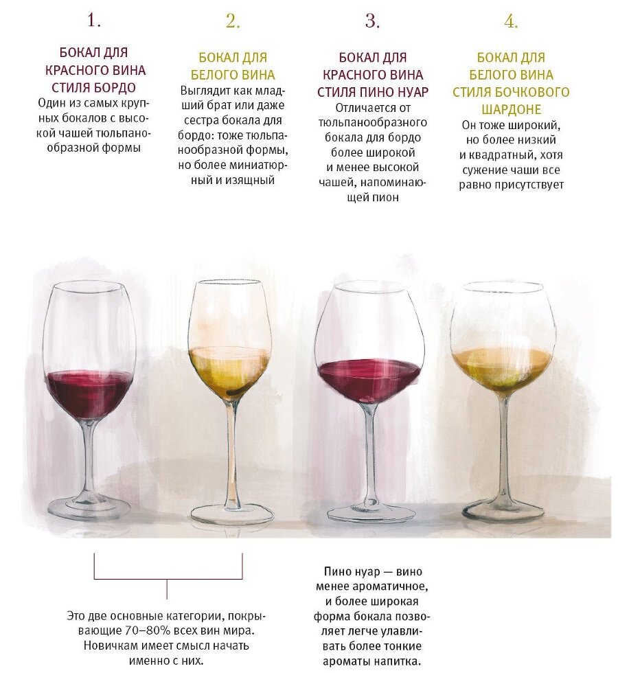 Винология: Записки профессионального гурмана о лучшем из напитков и культуре его потребления - i_024.jpg