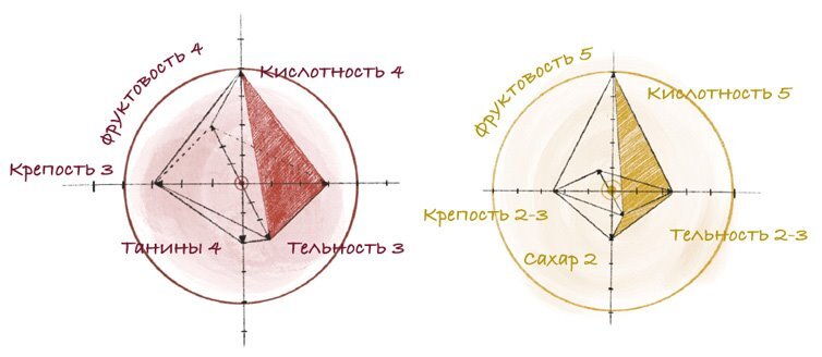 Винология: Записки профессионального гурмана о лучшем из напитков и культуре его потребления - i_073.jpg