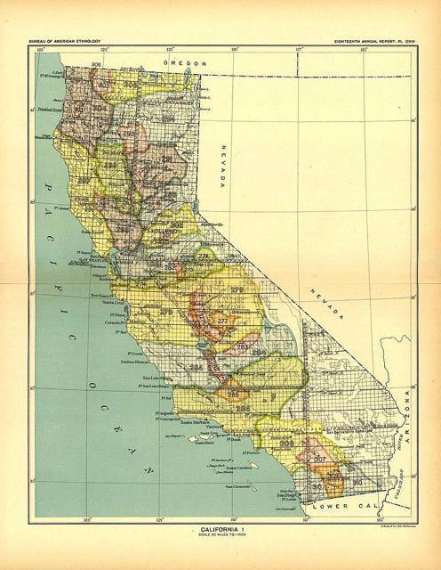 Три песо (СИ) - img_49