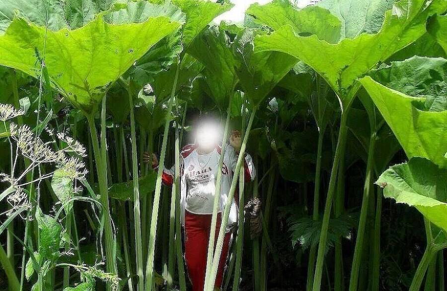 Приручитель женщин-монстров. Том 6 (СИ) - img_5