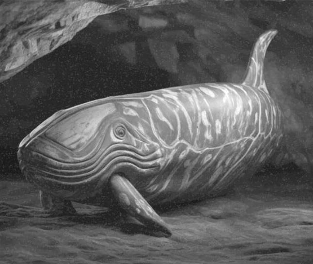 Архангел (ЛП) - img9A37.jpg