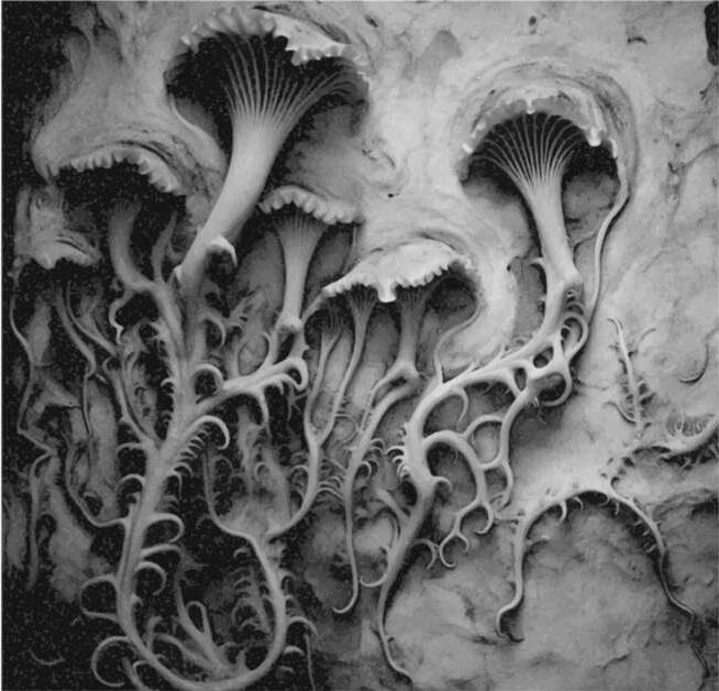 Архангел (ЛП) - imgF74B.jpg