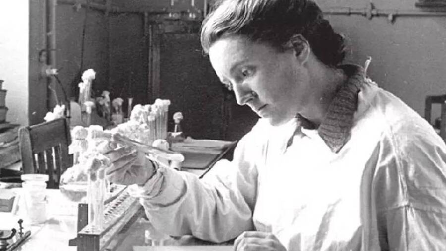 Мы, Мигель Мартинес. Накануне (СИ) - img_19