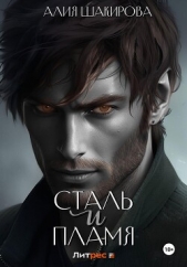 Сталь и Пламя - автор Шакирова Алия 