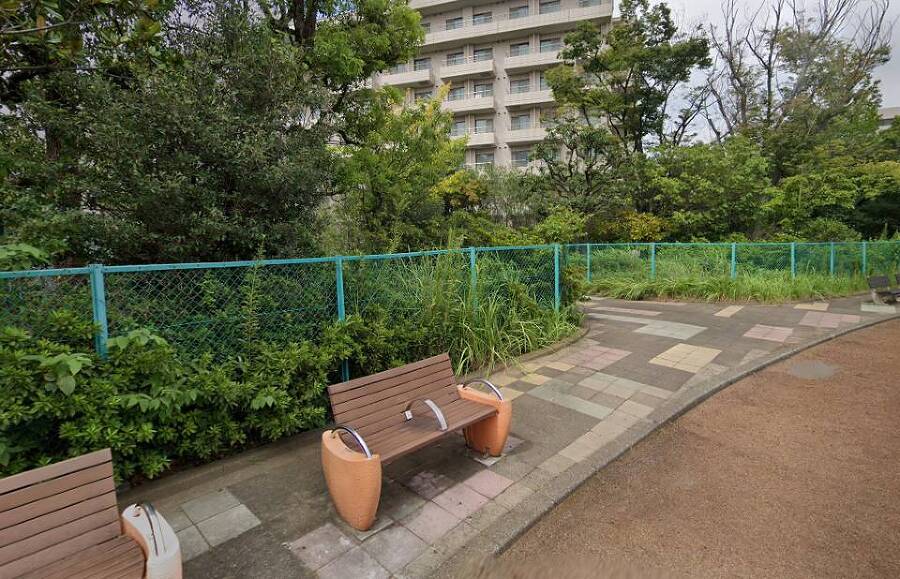 Зеркальный Город (СИ) - img_6