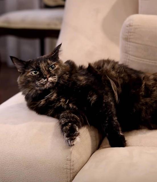 Пермский Губернский 2. Корпорат (СИ) - img_4