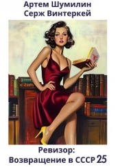 Ревизор: возвращение в СССР 25 - автор Винтеркей Серж 
