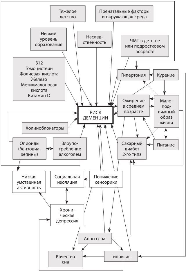 Используйте голову, чтобы спасти мозг. Профилактика деменции в любом возрасте - i_015.jpg