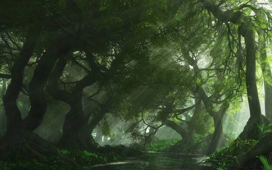 Гори, пламя мое! (СИ) - img_19