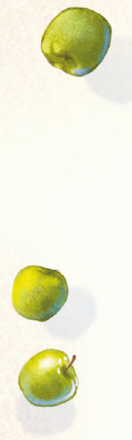 Такса Клякса и волшебная флейта - i_028.jpg