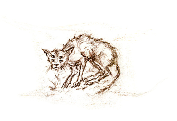 Последняя - _18.jpg