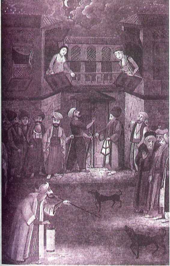 Восточные услады, или любовные игры султанов - i_018.jpg