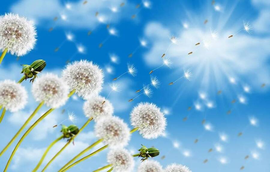 Приручитель женщин-монстров. Том 8 (СИ) - img_14