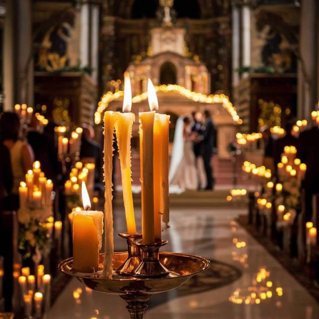 Крестная внучка мафии 2 (СИ) - img_74