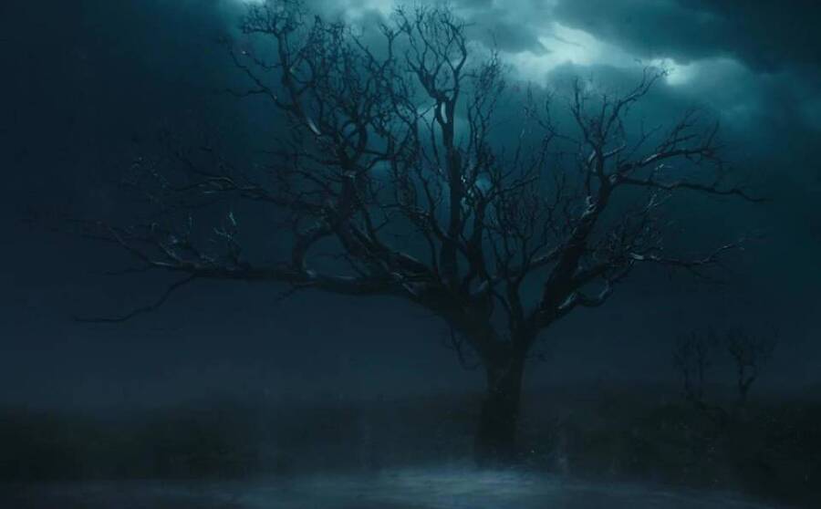 Небесный странник (СИ) - img_36