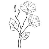 Старше (ЛП) - img_2