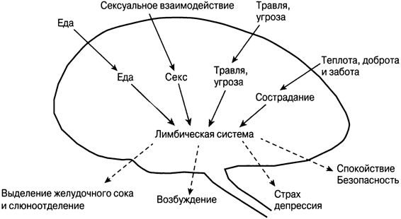 Терапия, сфокусированная на сострадании: отличительные особенности - img_15