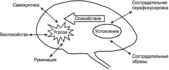 Терапия, сфокусированная на сострадании: отличительные особенности - img_4