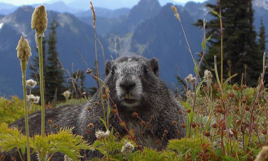 Гуд бай, Америка… (СИ) - img_4
