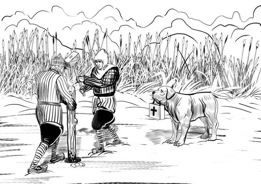 Желудь (СИ) - img_28