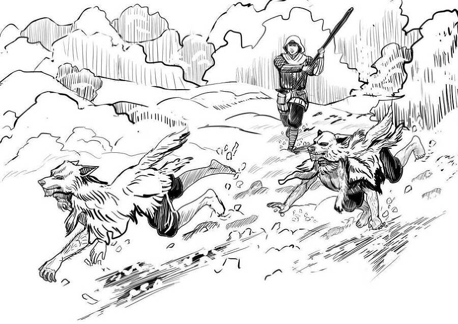 Желудь (СИ) - img_25