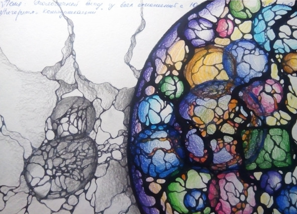 Нейрографика: личная исповедь Вероники Крацбаршт - img_24