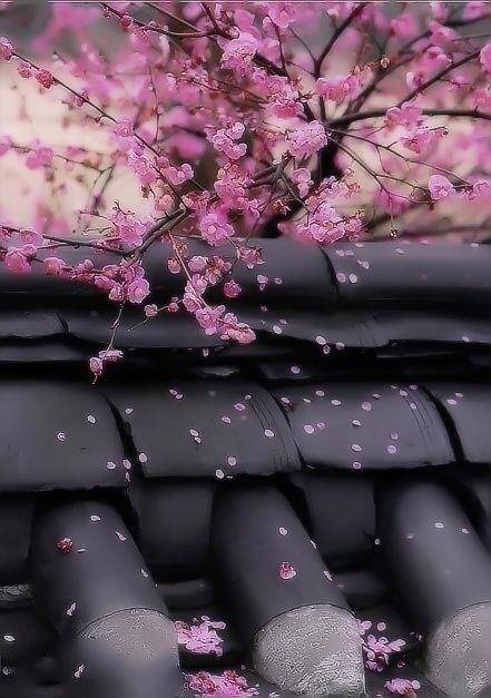 Белая ворона (СИ) - img_15