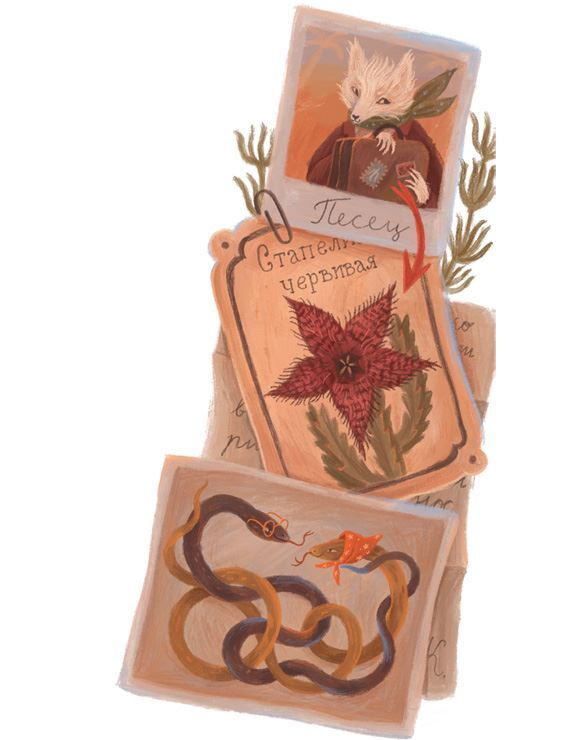 Тёмное прошлое. Пальмовый дневник каракала полиции - i_013.jpg