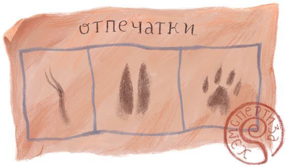 Тёмное прошлое. Пальмовый дневник каракала полиции - i_021.jpg