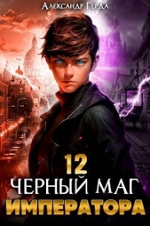  Герда Александр - Черный Маг Императора 12 (СИ)