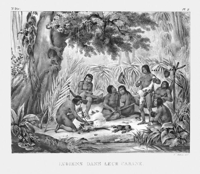 Бразилия. Полная история страны - i_007.jpg