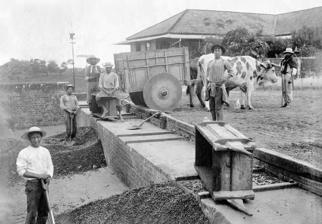 Бразилия. Полная история страны - i_049.jpg