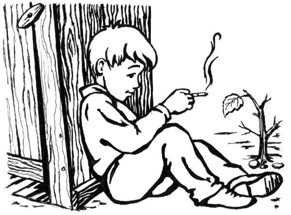 Как стать никем. Апокалипсис по-питерски - i_001.jpg