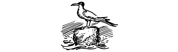 Семьдесят два градуса ниже нуля. В ловушке. Трудно отпускает Антарктида - i_037.png