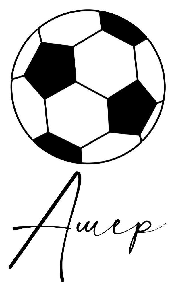 Нападающий (ЛП) - img_4