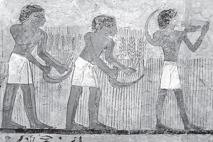 История тела сквозь века - i_165.jpg