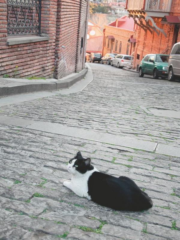 Тбилиси. Биография города - i_061.jpg