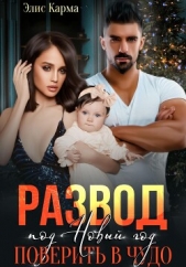 Развод под Новый год. Поверить в чудо - автор Карма Элис 