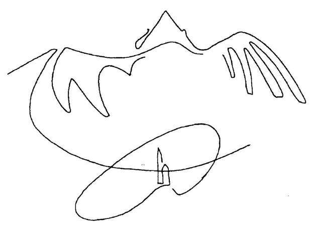 Элементарные существа. Чувственная жизнь Земли - i_022.jpg