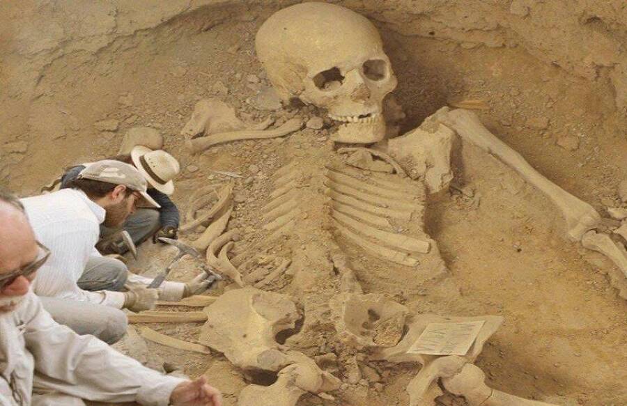 День (СИ) - img_24