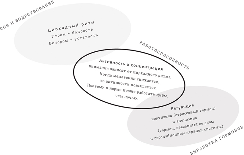 Жизнь с СДВГ. От прокрастинации к самоорганизации - img_16