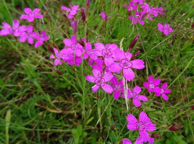 Подъем, спящая красавица! (СИ) - img_37