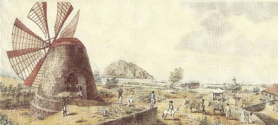 Аргентинец поневоле 2 (СИ) - img_4