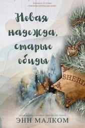  Малком Энн - Новая надежда, старые обиды (ЛП)