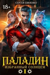 Шиленко Сергей - Паладин Том 1 (СИ)